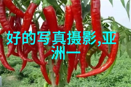 王者出击 综艺 - 挑战者联盟王者的综合娱乐盛宴