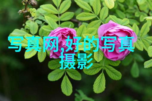 爸爸当家2完整版高清免费观看家庭生活喜剧电影