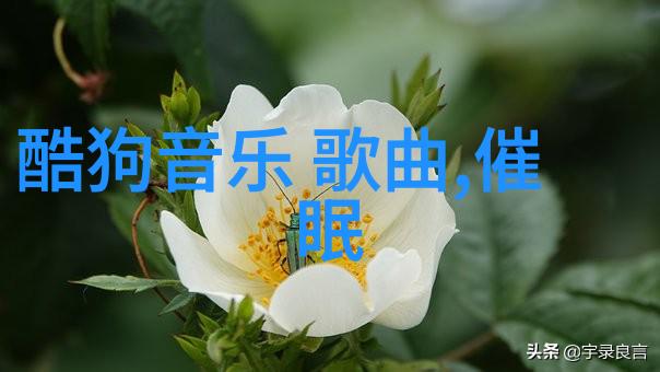 超越极限12代酷睿的科技奇迹