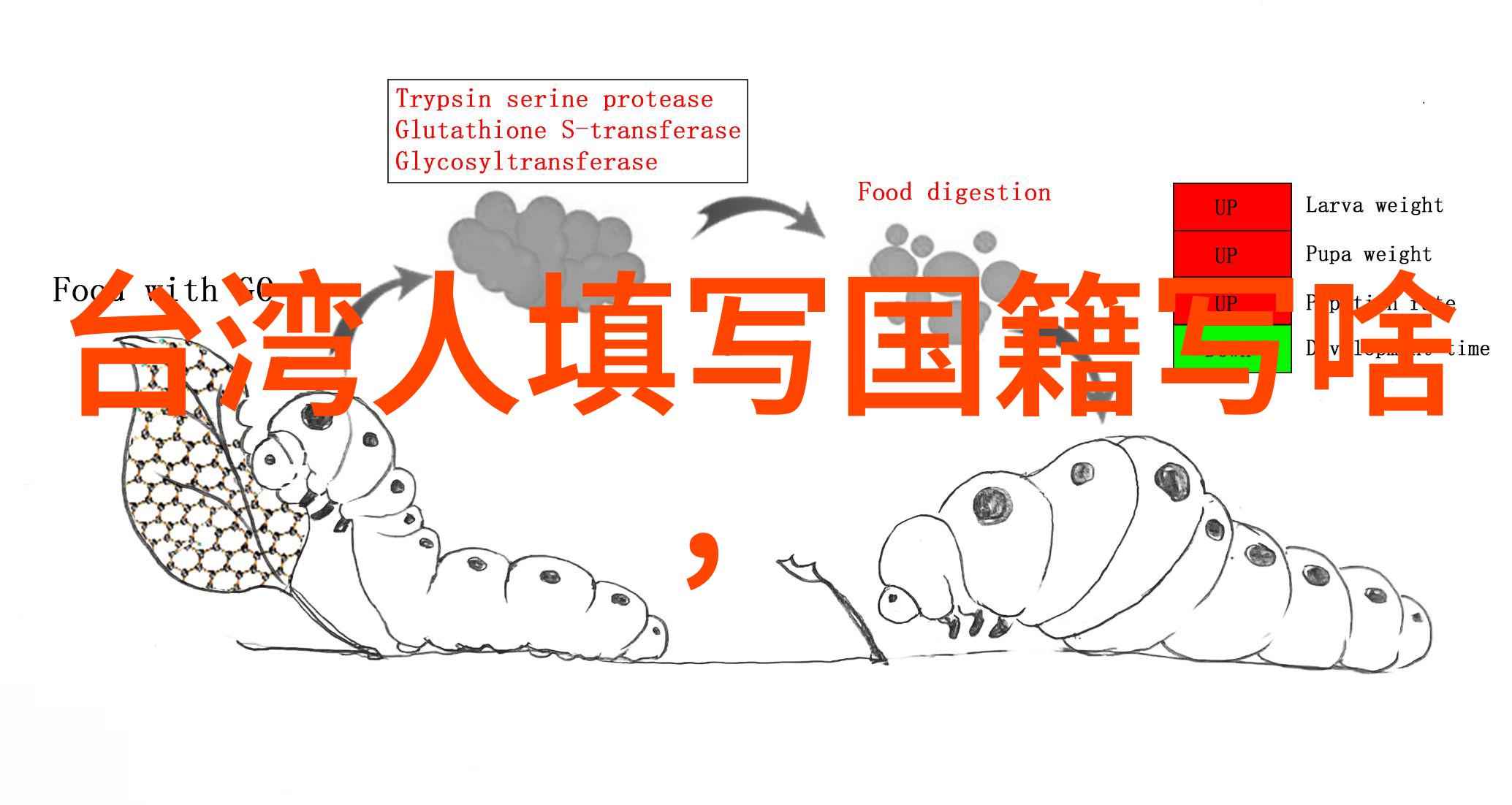 水浒传 电视剧梁山好汉的故事我亲眼见证了宋江的悲欢