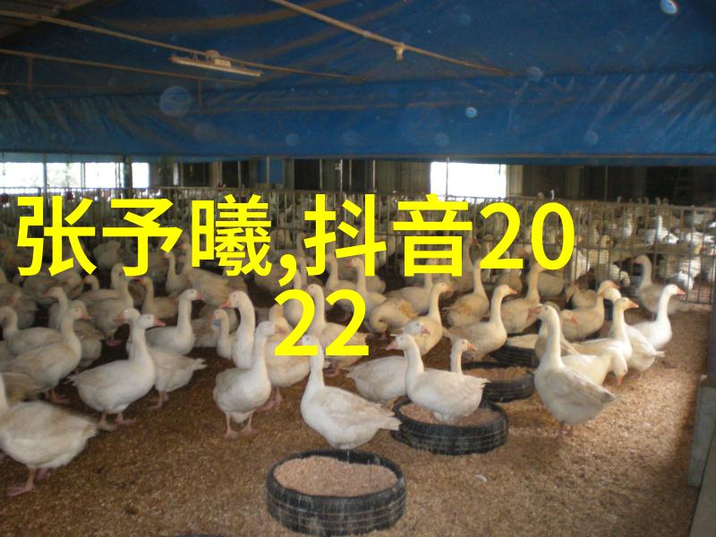 韩国电影之美探索文化深度与艺术魅力