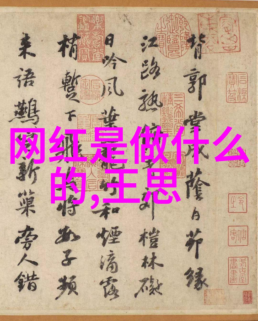 张津瑜视频解析深入理解其核心思想与影响力