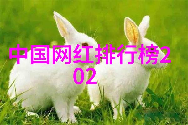 先后天八卦数字对照图我的数谜解锁秘笈