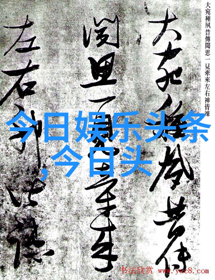 绽放的颜值摄影师与美女的艺术对话