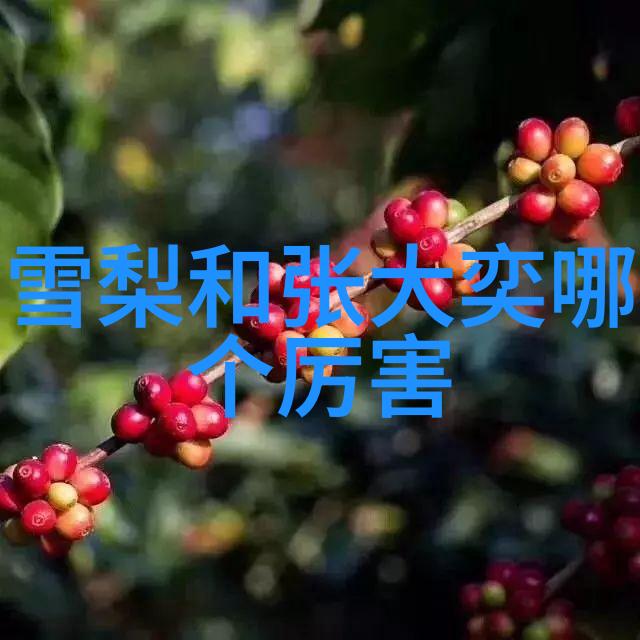 八卦图罗盘全图揭秘古代智者如何利用宇宙之力