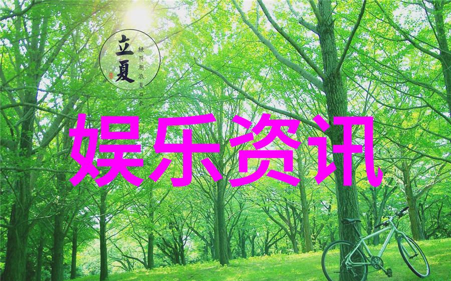 构建完美视界成品影视App开发的艺术与实践
