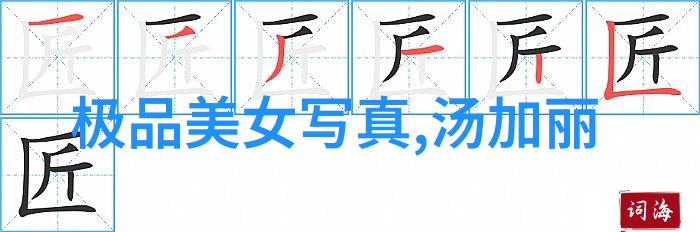 爱在娱乐圈的日子 - 星光闪烁下的情感交响曲