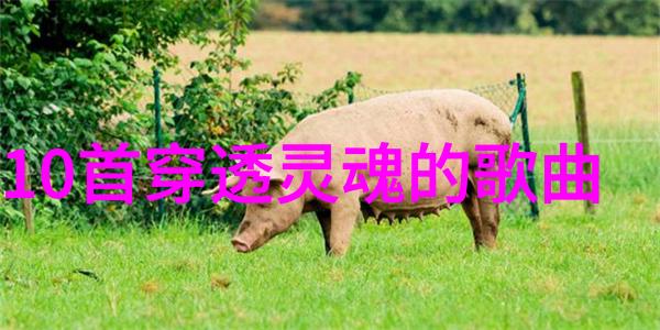 电视剧之旅流光岁月带我回忆那些美好时刻