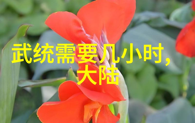 解读时尚图片中的视觉语言与文化符号