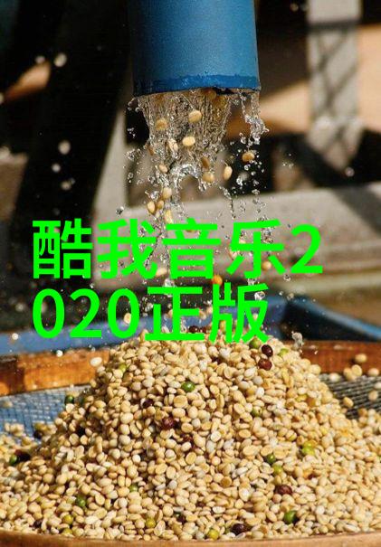 旋律时光机一听音乐网的怀旧金曲