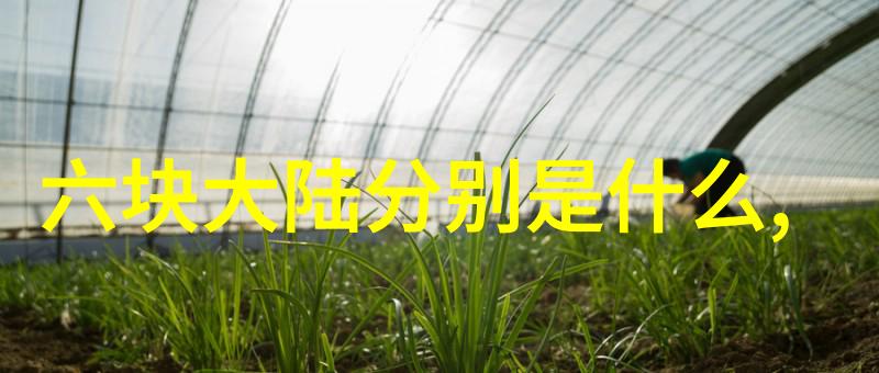 在现代快节奏生活中秀恩爱的俏皮句子有哪些实际应用技巧