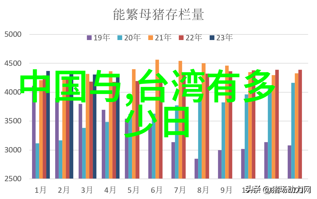幕后花戏影视工厂的笑料与光芒
