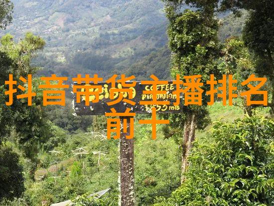 婚礼盛宴选择山水时尚酒店做证人