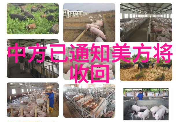 爱上这个世纪的浪漫主义评述爱情珠宝的文化意义