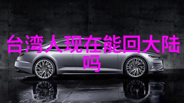 捕捉时光的墨韵艺术写真之美