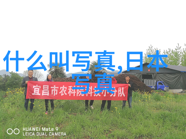 在竞技性较强的综艺节目中王者的表现如何影响收视率和热度
