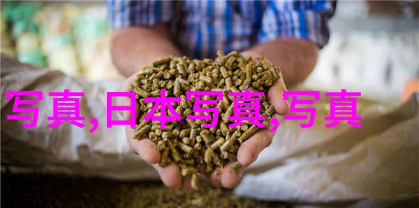 火热情感的秘密解码
