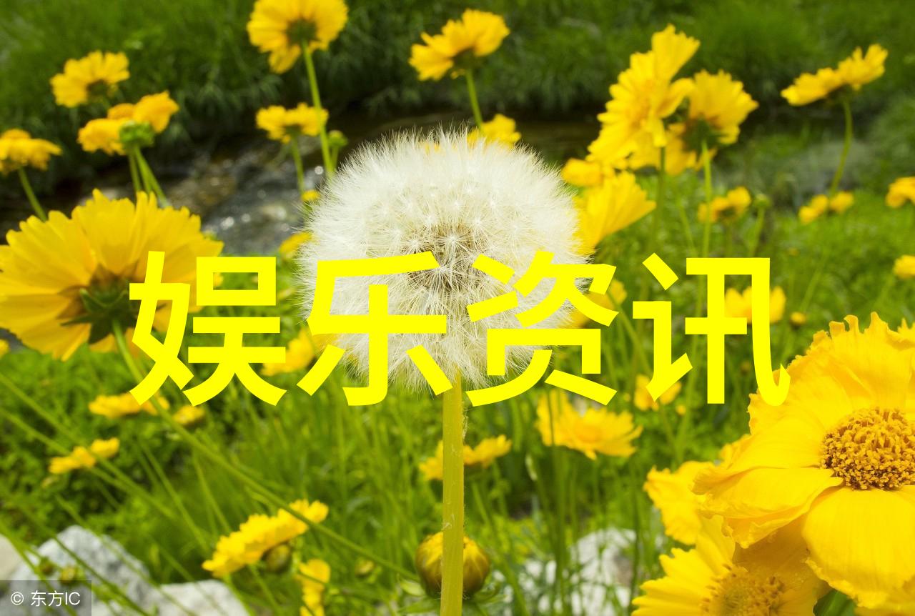 八字配对之谜为什么有些人在感情上总是遇到困难而另一些人却能够找到完美的伴侣