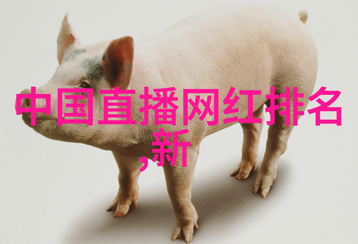 毛雪汪综艺文化的免费观看现象及其对现代娱乐消费习惯的影响
