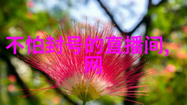 封神引争议威尼斯电影节荣获奖项背后隐含的打脸意味