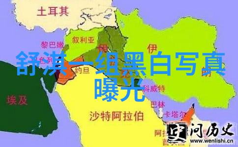 最美的时光综艺回忆与共鸣的无限旋律