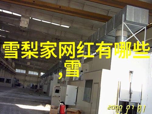 美女写真展览探索116幅摄影作品中的魅力与艺术