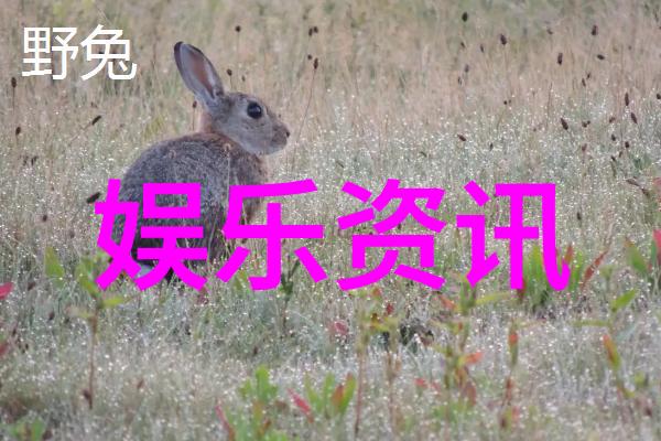 一听音乐网经典老歌回忆里的旋律与时光的痕迹