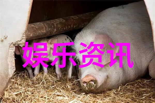 爸爸去哪银河系的守护者