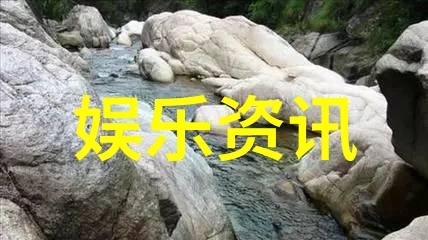 代号山豹电视剧刺激的行动复杂的情感