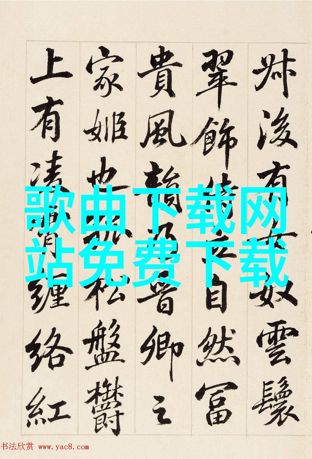 从初学者到专业人士如何提升自己的美女摄影技艺