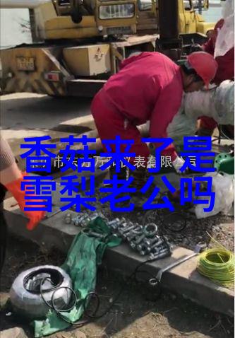 电影我在八角笼中的电影冒险
