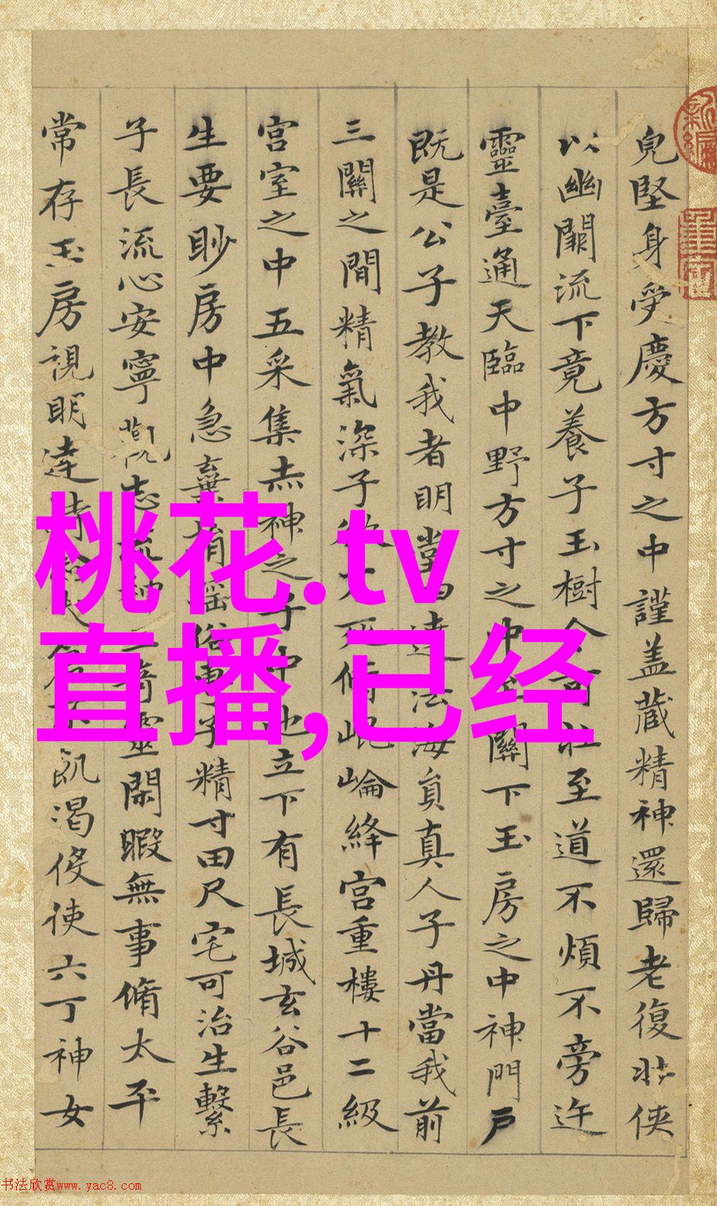 曝光真相如何看待世界上的残酷写真作品