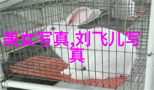 后天八卦口诀乔纳森梅杰斯如同白日鹰般无辜律师提供铁证蚁人3男星彻底洗清了所有指控