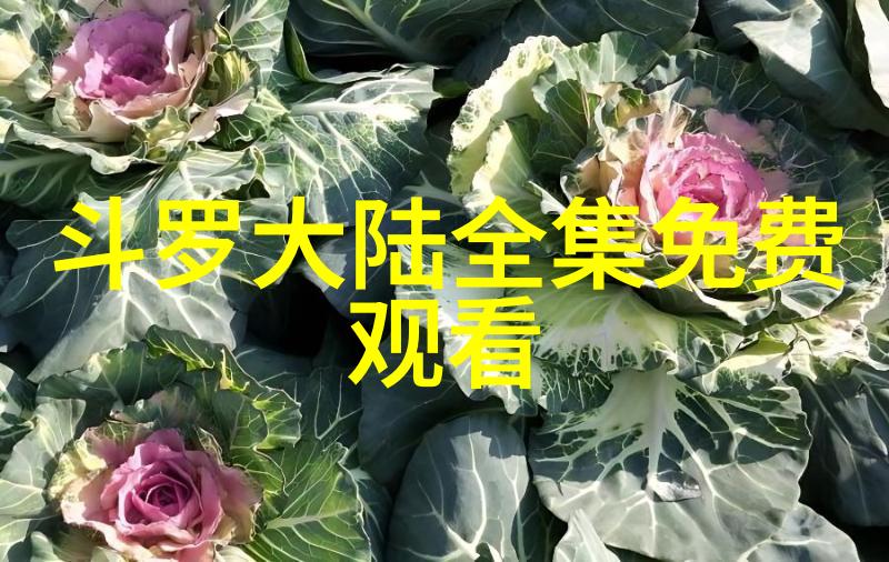探索视觉世界图像猎手的奇妙冒险