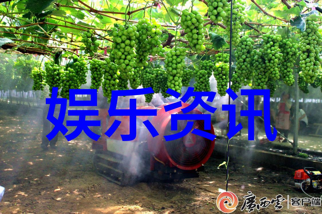 美洲写真艺术的发展历程是怎样的