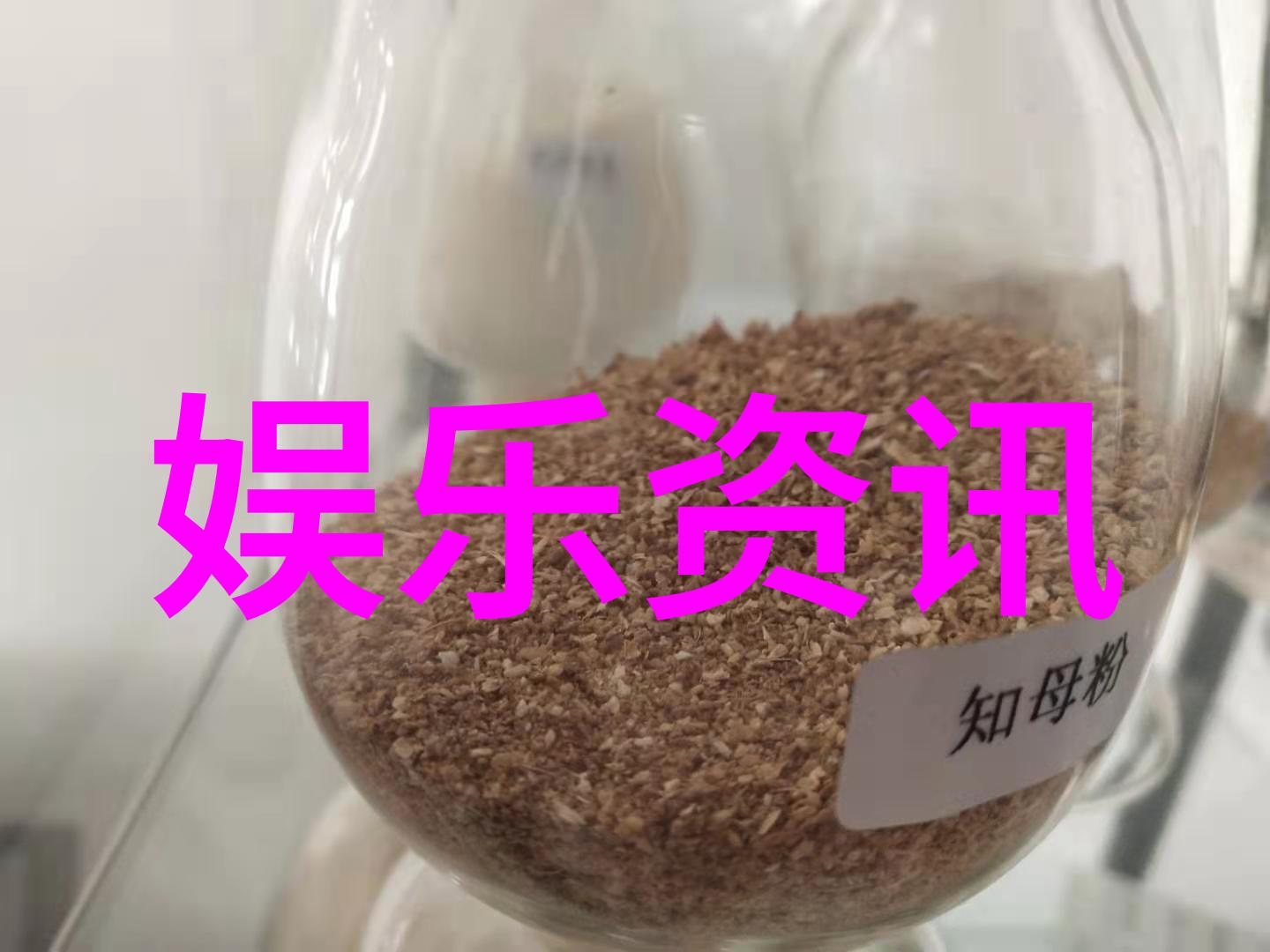 大西洋诸岛国加勒比海及中美地区的小型独立国家联盟