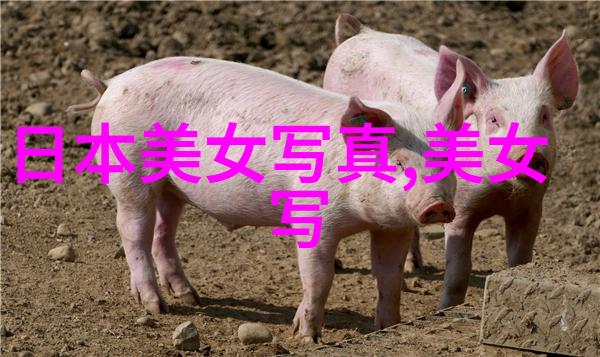 最好看中文字幕国语电影-影视之美探索最动人心弦的国语片