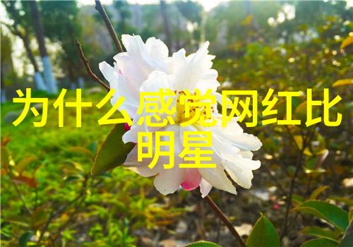 气质出众的女人味微信昵称精选57个男生专用抖音名魅力双重女神微信名逆袭少年抖音号