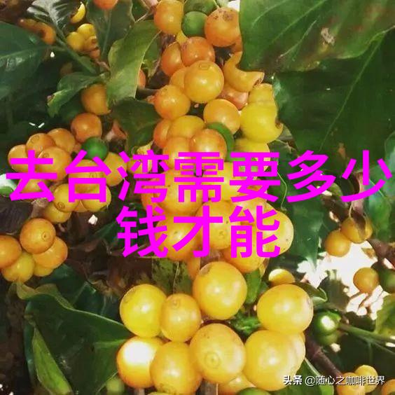 我在等你回家揭秘那些等待的背后故事