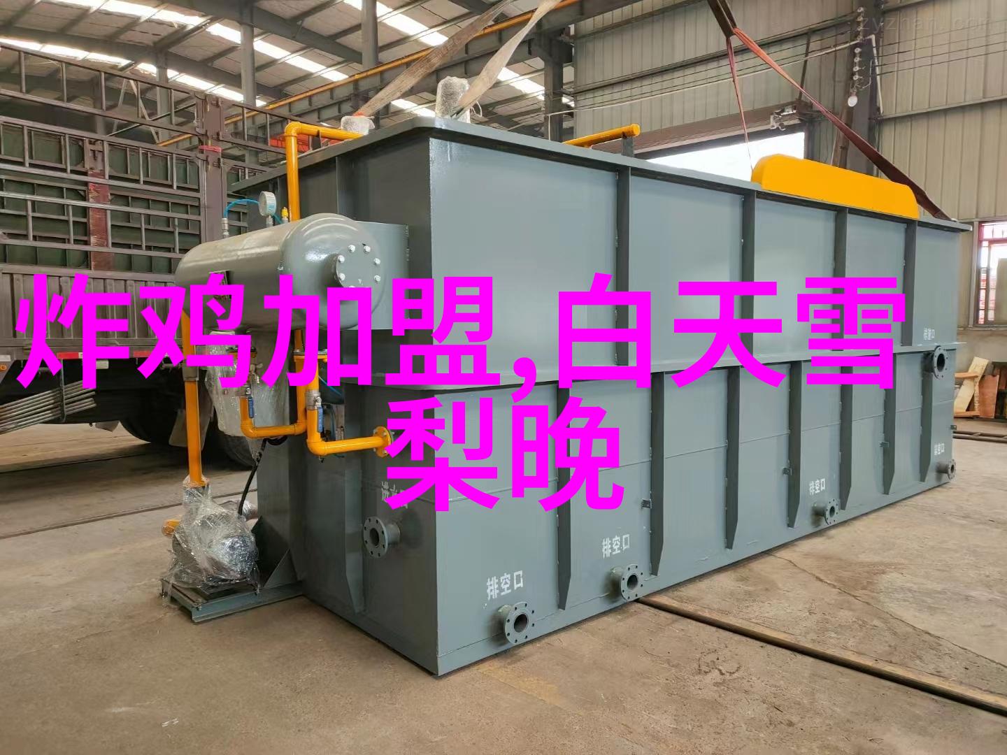 2021谁是抖音网红第一人我觉得他she他们应该是那个揭秘2021年最火的抖音网红