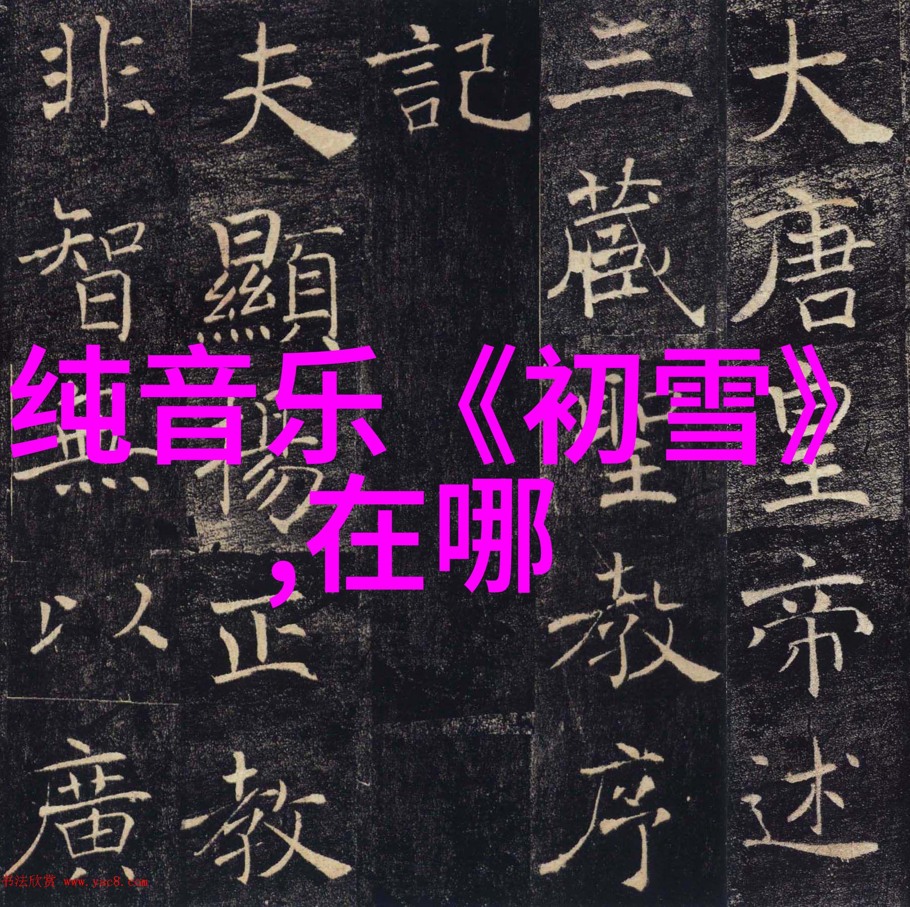 网红们面临的隐私和安全问题有哪些