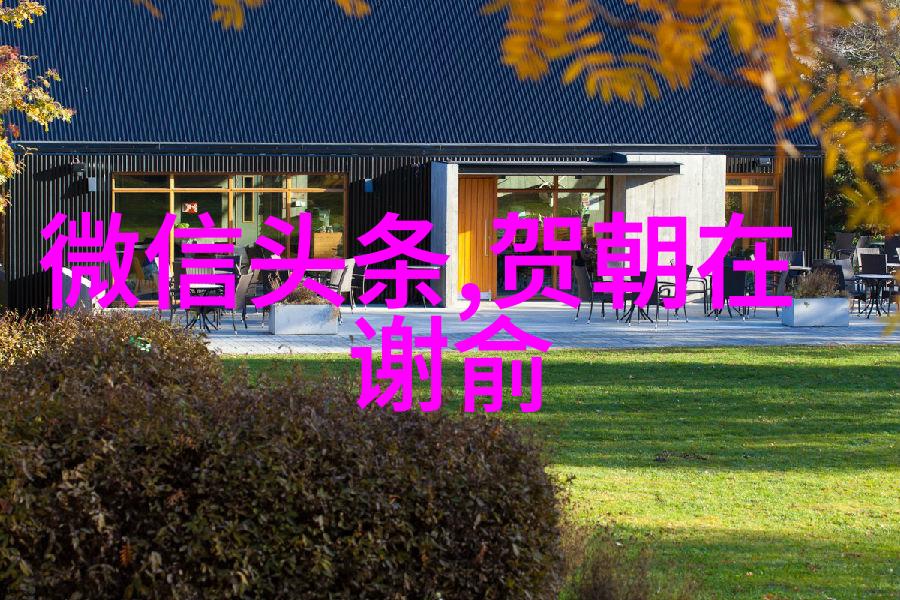 消失的她 电影我找不到她的踪迹揭秘那部让人心疼的电影
