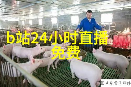 2021年度最美图片精选大师展