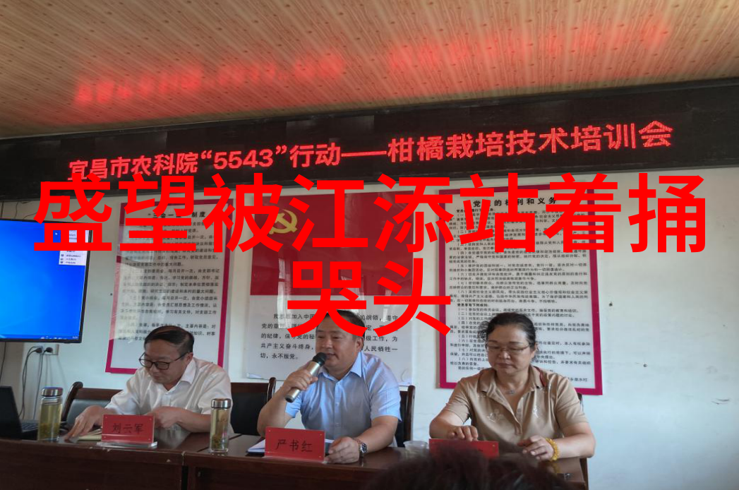 刘亦菲两度情变背后的艰辛一帷幕下的写真摄影之谜