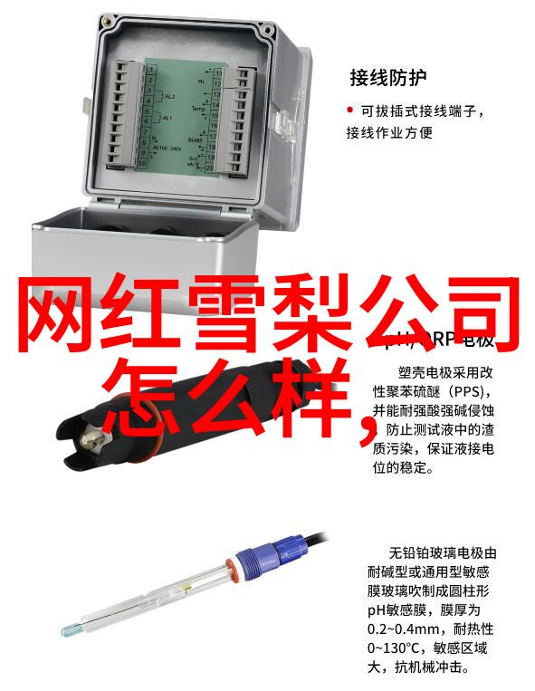 娱乐圈新星的崛起与辉煌从无名小卒到巨星的逆袭故事