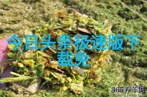 网红雪梨的秘密变美揭秘整容前后的惊人差异