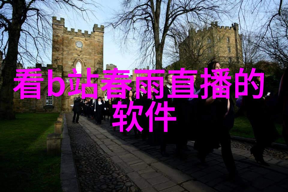 探索迷失城区中的书店宝库寻找文学作品中的奇迹
