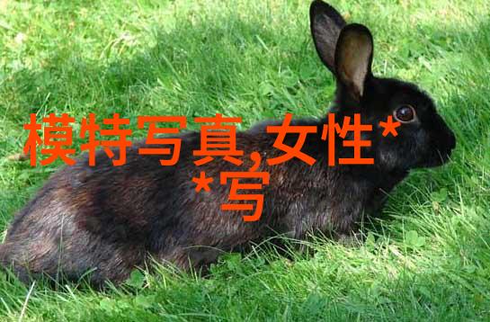 海峡两岸和平统一的象征探索合并后新国旗与国号的选择