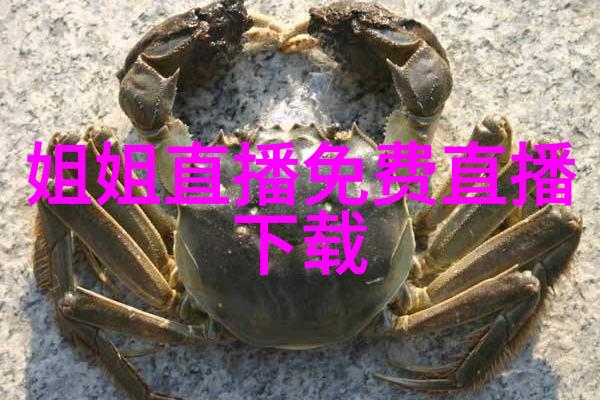 电影-555电影揭秘影史奇迹