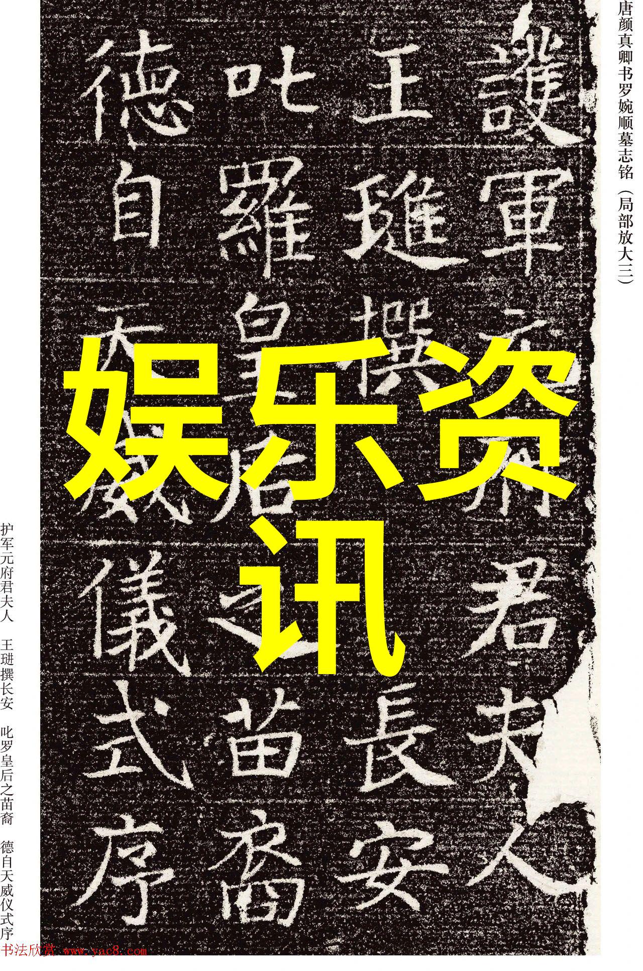 了不起舞社初考核顺利落幕 苏有朋暖心社长破圈认证 毛雪汪综艺免费观看 在自然的宁静中展开